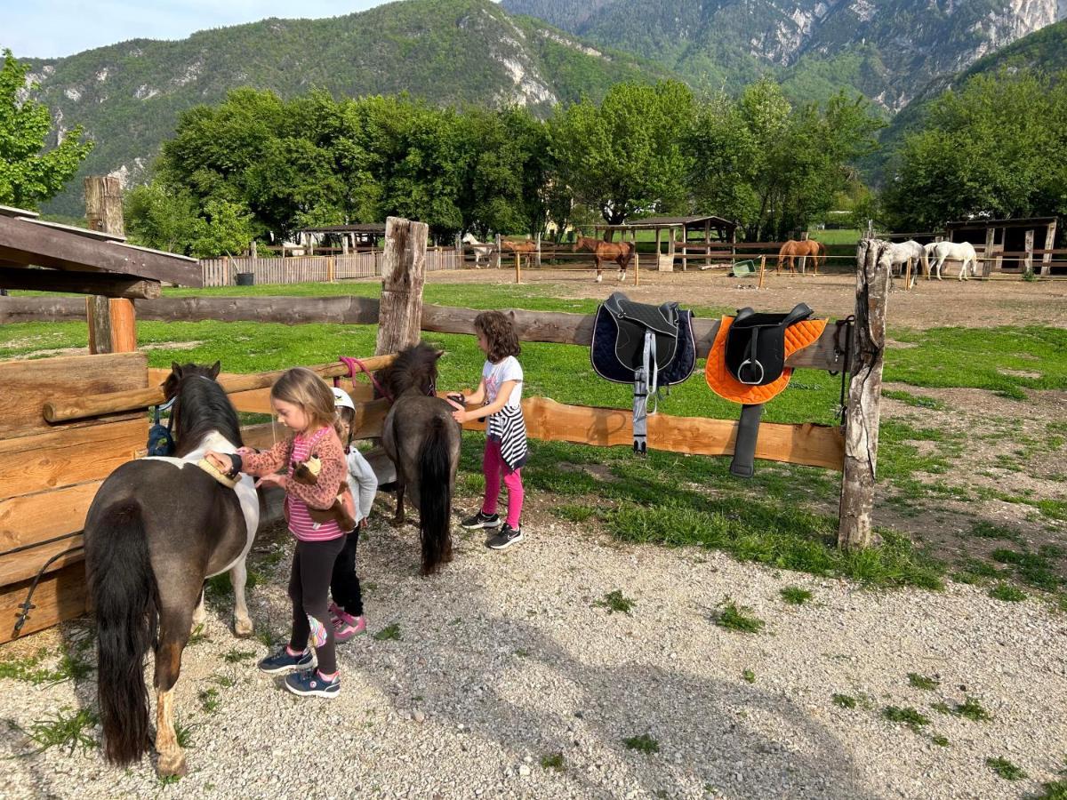 Agritur Airone Bed & Camping 莱维科特尔梅 外观 照片