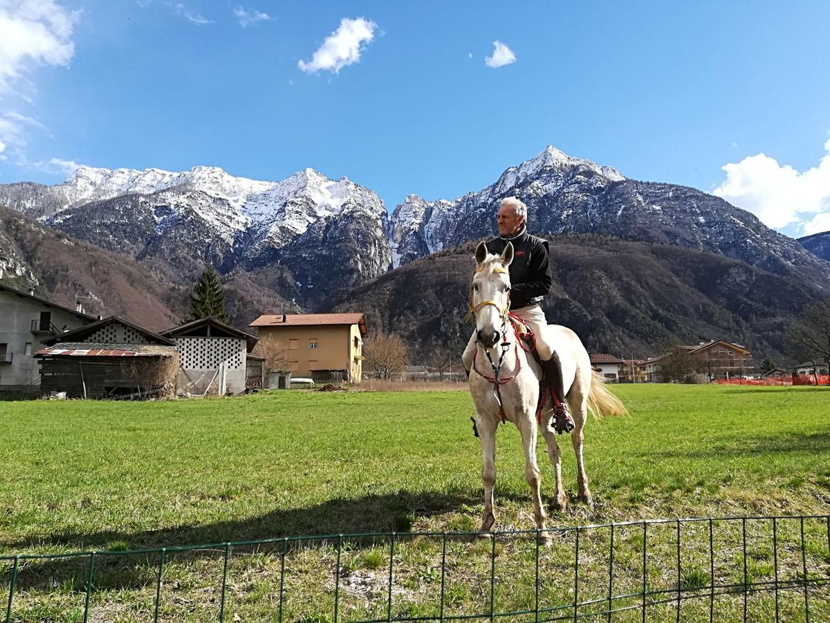 Agritur Airone Bed & Camping 莱维科特尔梅 外观 照片